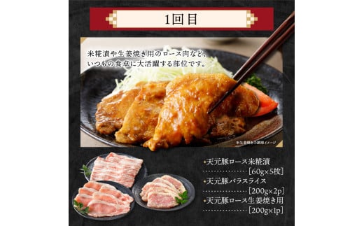 【定期便】 4ヶ月定期便 天元豚 セット 全4回 豚肉 ロース バラ 小間 モモ 挽き肉 便利 小分け 冷凍 豚肉 しゃぶしゃぶ 焼肉 とんかつ 定期 コース 食べ比べ 詰め合わせ ブランド豚 ロース ひき肉 小間 バラ モモ 豚 スライス サイコロ おかず お取り寄せ 東北 山形県 米沢市