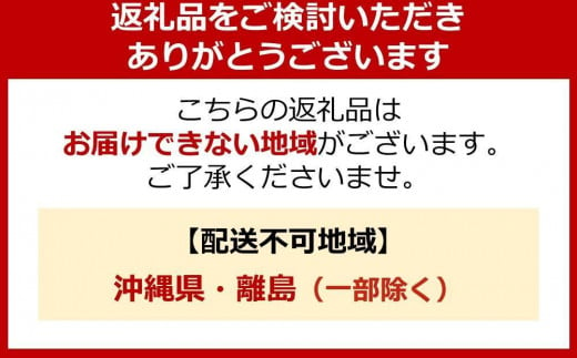 ヱビス自転車　子供乗せ自転車 フィデースDX226 電動なし シマノ製外装6段変速 OGK製後子供乗せ付 RBC-017DX ZERO Plus【シルキーパール】