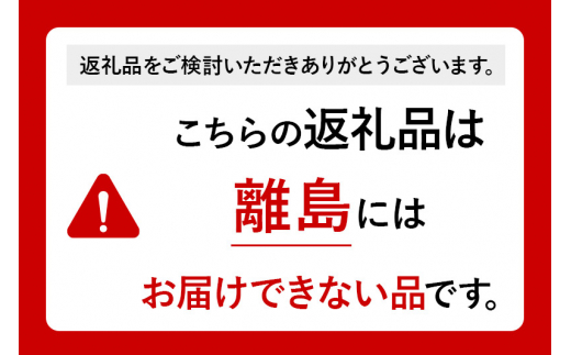 《定期便6ヶ月》はちみつサイダー 300ml×12本セット あきた美郷づくり