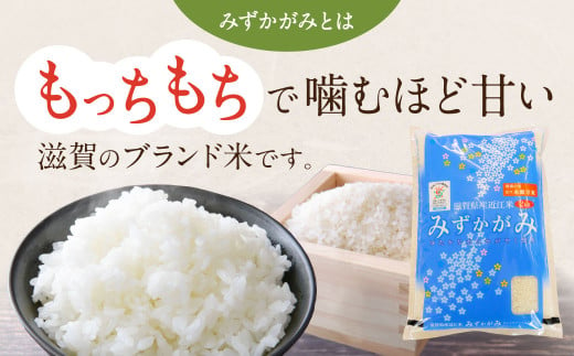 みずかがみ レトルトご飯 200g×18個 パックご飯 白米 米 お米  グリーン近江農業協同組合 A61 【 パックご飯 パックライス ご飯 ご飯パック ごはんパック パック レトルト 米 備蓄米 備蓄 防災 備蓄品 備蓄 食料 レトルトご飯 レトルトごはん 一人暮らし パックご飯 パックごはん ごはん パック レトルト 非常食 防災 キャンプ】