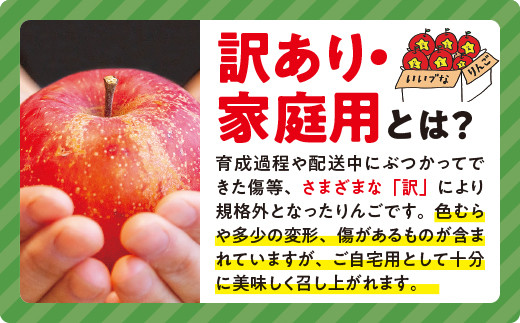 りんご ブラムリー 家庭用 5kg 山岸ファーム 沖縄県への配送不可 2023年8月中旬頃から2023年8月下旬頃まで順次発送予定 令和5年度収穫分 信州 果物 フルーツ リンゴ 林檎 長野 10500円 予約 農家直送 長野県 飯綱町 [1151]