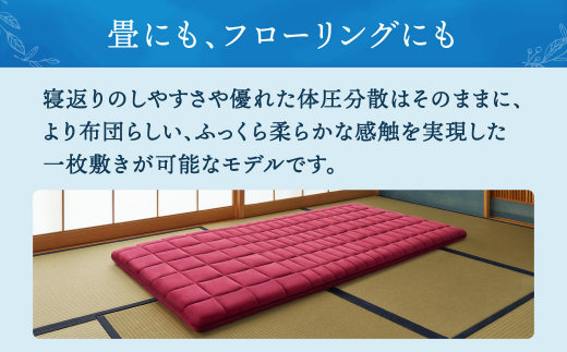 【大刀洗町限定】エアウィーヴ 四季布団 和匠 シングルロング × エアウィーヴ フィットシーツ シングル