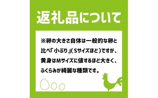 土佐ジローの卵 定期便（25個入り×5回）もみ殻梱包 ブランド卵 タマゴ たまご 卵 毎月 定期コース 土佐ジロー 卵焼き 卵かけごはん 卵料理 送料無料 お取り寄せ【J00133】