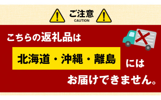 熊本玉名産 いちご 1箱 （ 250g × 4パック ） | フルーツ 果物 くだもの 苺 いちご イチゴ 旬 熊本県 玉名市