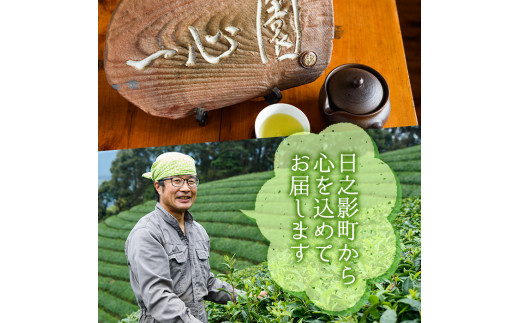 有機茶葉 ティーバッグ各種12個入り(釜炒り茶・ウーロン茶・紅茶・釜炒り茎ほうじ茶)と釜炒り抹茶(粉末40g)のセット お茶 緑茶 茶 烏龍茶 飲み比べ オーガニック 有機JAS認証【IS012】【一心園】