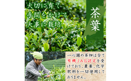 有機茶葉 ティーバッグ各種12個入り(釜炒り茶・ウーロン茶・紅茶・釜炒り茎ほうじ茶)と釜炒り抹茶(粉末40g)のセット お茶 緑茶 茶 烏龍茶 飲み比べ オーガニック 有機JAS認証【IS012】【一心園】