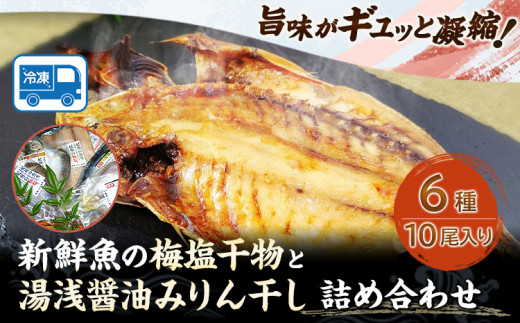 新鮮魚の梅塩干物と湯浅醤油みりん干し6品種10尾入りの詰め合わせ(和歌山近海産の新鮮魚使用) 日高町厳選館《90日以内に出荷予定(土日祝除く)》和歌山県 日高町 魚 さかな 干物 6種 10尾 さば 真あじ 太刀魚 いさぎ うおぜ さんま みりん干し 梅塩 湯浅醤油 送料無料