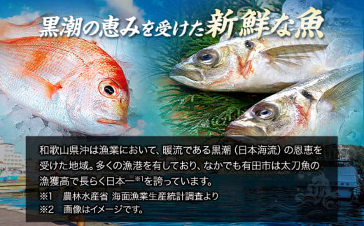 新鮮魚の梅塩干物と湯浅醤油みりん干し6品種10尾入りの詰め合わせ(和歌山近海産の新鮮魚使用) 日高町厳選館《90日以内に出荷予定(土日祝除く)》和歌山県 日高町 魚 さかな 干物 6種 10尾 さば 真あじ 太刀魚 いさぎ うおぜ さんま みりん干し 梅塩 湯浅醤油 送料無料