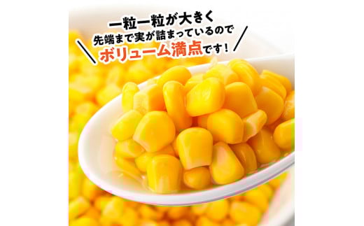 【令和8年発送】宮崎県産とうもろこし　スイートコーン「ゴールドラッシュ」2L×5本【新鮮 農家直送 トウモロコシ 産地直送 季節限定 期間限定 宮崎県産 九州産】