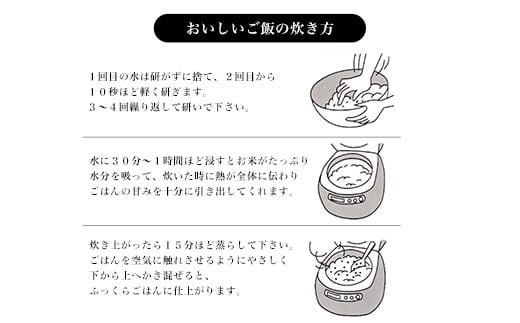 【令和6年産新米 先行予約受付】京の台所 丹波・福知山産　無洗米きぬひかり　5kg×2袋　合計10kg【姫髪の里　森成農産】【精米したてをお届け】ふるさと納税 米 こめ 白米 キヌヒカリ きぬひかり 無洗米 10キロ 10kg 京都府 福知山市 FCAQ011