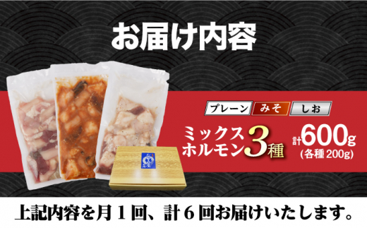 国産 長崎和牛 和牛 ホルモン ミックス 牛肉 ほるもん 冷凍 小分け 真空パック 味噌 塩 プレーン 味付き 焼肉 定期便