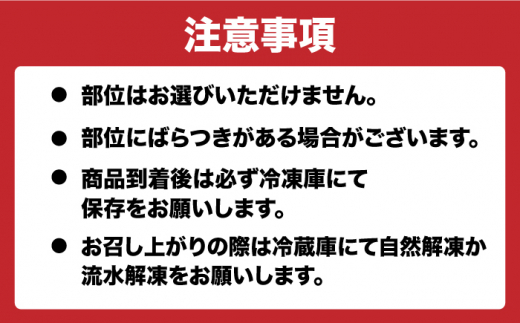 国産 長崎和牛 和牛 ホルモン ミックス 牛肉 ほるもん 冷凍 小分け 真空パック 味噌 塩 プレーン 味付き 焼肉 定期便