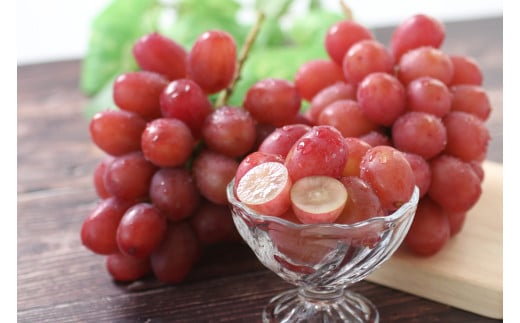 【産地厳選!】長野県産・クイーンルージュ（約2kg）秀品 2026年10月中旬より発送 信州 南信州 高森町 産地直送 果物 くだもの ぶどう 旬のぶどう 山下屋荘介