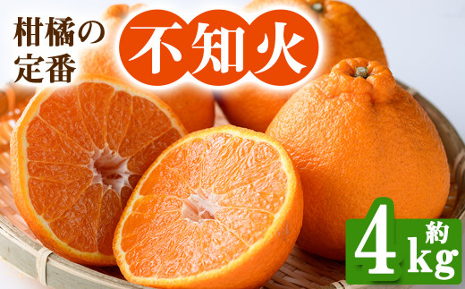 ＜先行予約！2025年2月下旬以降順次発送予定＞香川県産 不知火(約4kg) しらぬい 不知火 柑橘 フルーツ 産地直送 新鮮 香川 香川県 特産 果物 ふるーつ 旬 人気 お取り寄せ 【man093】【Aglio nero】