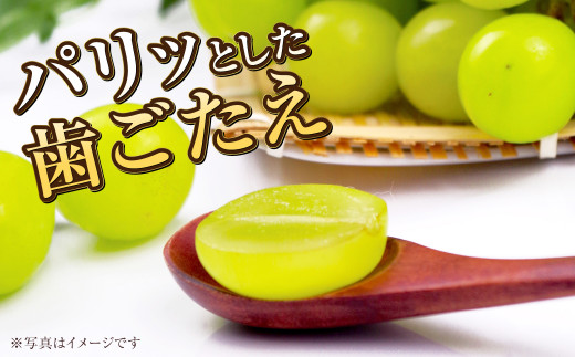 岡山県産 シャインマスカット 晴王 約4kg（5房～10房） 【2024年8月下旬～11月下旬迄発送予定】