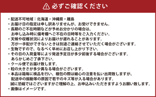 岡山県産 シャインマスカット 晴王 約4kg（5房～10房） 【2024年8月下旬～11月下旬迄発送予定】