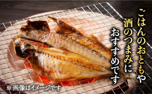 干物 魚 みりん干し 詰合せ 冷凍 旬 おかず おつまみ 五島