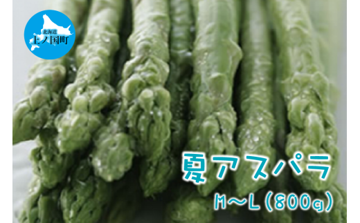 【2025年夏発送】北海道上ノ国町産 朝採り当日発送 刀祢農園の夏アスパラ　M～L（800g）