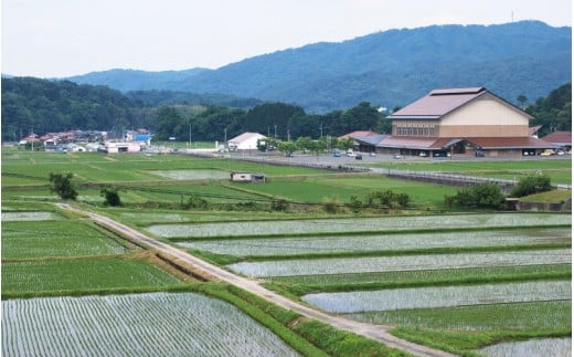 令和6年産【定期便4回】邑南町産石見高原瑞穂米5kg