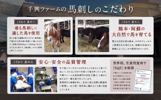 【1ヶ月毎10回定期便】鮮馬刺し 国産馬刺し赤身 ブロック 400g