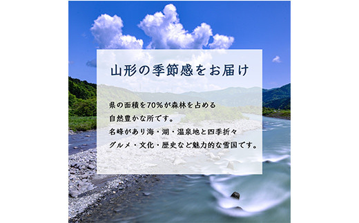 【2024年発送先行予約】あきづき梨 秋月 約5玉～約8玉 約2.5kg【2024年9月から発送】  なし ナシ 梨 デザート フルーツ 果物 くだもの 果実 食品 山形県 FSY-1079