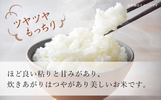 【令和6年産 新米】北海道厚沢部産ゆめぴりか15kg（5kg×3ヶ月連続お届け）【 ふるさと納税 人気 おすすめ ランキング 米 ゆめぴりか ご飯 ごはん 白米 つや 粘り 北海道 厚沢部 送料無料 】ASG006