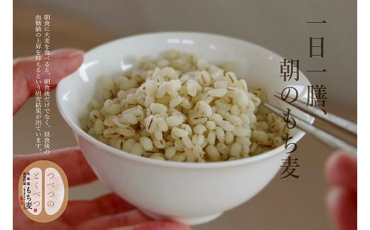 手軽に簡単に。日々の食卓に「もち麦」を！