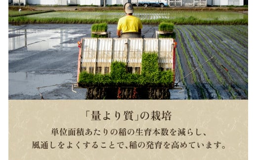 【令和6年産新米先行予約】【定期便3回毎月お届け】特別栽培米 コシヒカリ 玄米15kg（5kg×3）従来品種コシヒカリ 加茂有機米生産組合 新潟県 加茂市産 定期便