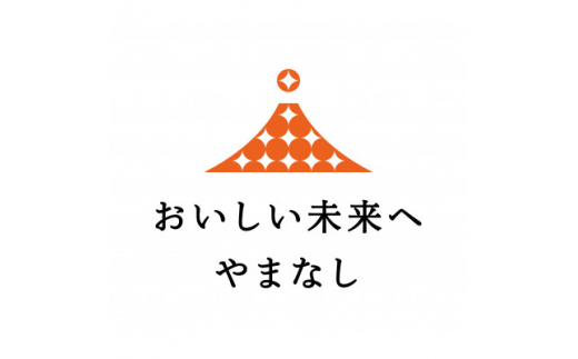 山梨県産すもも　貴陽　約1.7kg【1202947】