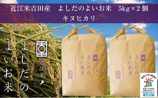 【新米】令和6年産　よしだのよいお米 近江米キヌヒカリ5kg×2