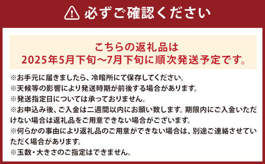 大玉すいか 秀品 1玉 約6kg〜9kg