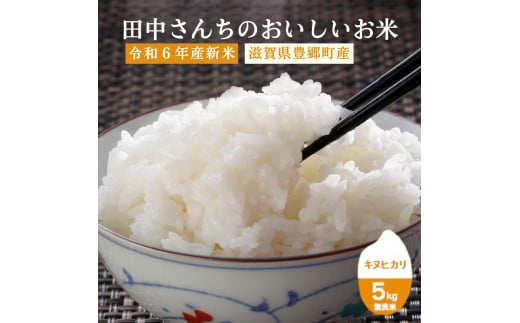 令和6年産新米 田中さんちのおいしいお米A　キヌヒカリ5kg（無洗米）