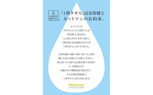 【お歳暮】【ブラウン】ホットマン1秒タオル　大判バスタオルギフト ／ 高い吸水性 上質 綿100％ 埼玉県