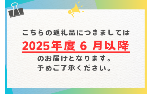 【 先行予約 2025年 発送 】 受賞多数!!山城マンゴー屋の 沖縄県産 マンゴー 2kg アップルマンゴー アーウィンマンゴー 2キロ 国産 完熟マンゴー 果物 南国 くだもの フルーツ 完熟 夏 旬 沖縄 お取り寄せ 産地直送 農家直送 甘い 濃厚 糸満市 