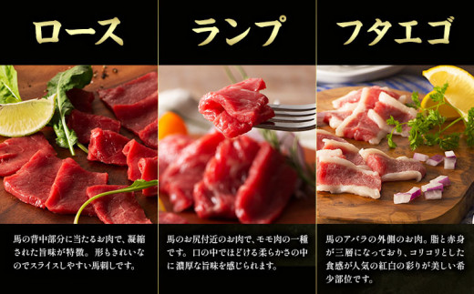 馬肉 馬刺し セット 贅沢馬刺しセット 11種入り 約850g タレ 生おろし生姜付き 道の駅竜北《60日以内に出荷予定(土日祝除く)》 熊本県 氷川町 肉 メン 三枚バラ 大トロ 中トロ ヒレ ロース ランプ チョーチン イチボ フタエゴ 上赤身 コウネ