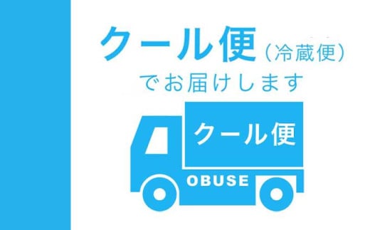 旬の白桃 約900g 2～4玉 ［小布施屋］ 長野県産 白桃 もも モモ フルーツ 果物 長野県産 信州産 クール便 冷蔵便 たまき なつき あかつき 川中島白鳳 川中島白桃など 令和7年産 【2025年7月上旬～9月中旬発送】 ［A-308］