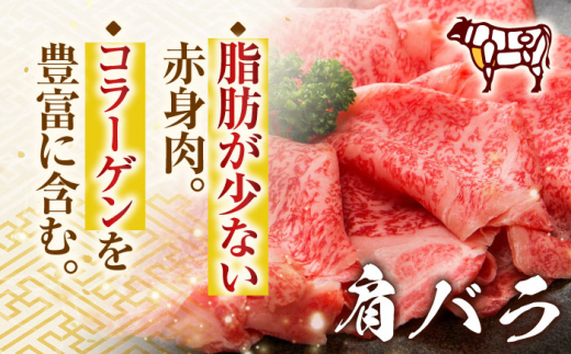 【全6回定期便】【A4～A5】長崎和牛しゃぶしゃぶすき焼き用（肩ロース肉・肩バラ・モモ肉）1kg(500g×2p)【株式会社 MEAT PLUS】 [QBS064]