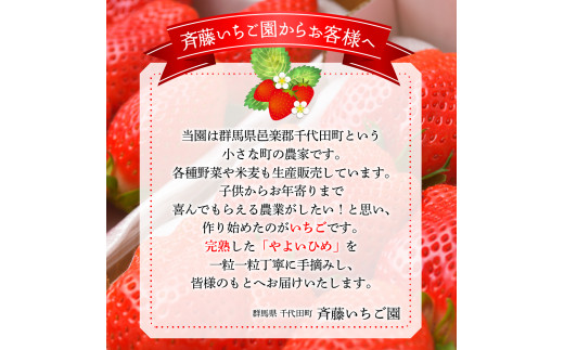 《先行予約》5月より順次発送※ いちご「 やよいひめ 」約350g×2パック 群馬県 千代田町 ＜斉藤いちご園＞