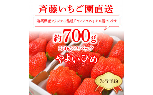 《先行予約》5月より順次発送※ いちご「 やよいひめ 」約350g×2パック 群馬県 千代田町 ＜斉藤いちご園＞