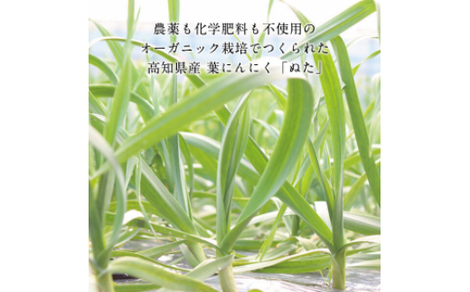 高知厳選１本釣り本わら焼き「高知本気シリーズ　極カツオのタタキ（３～４人前）あの有名番組で紹介された有機無添加土佐にんにくぬた、タレ付き」数量限定