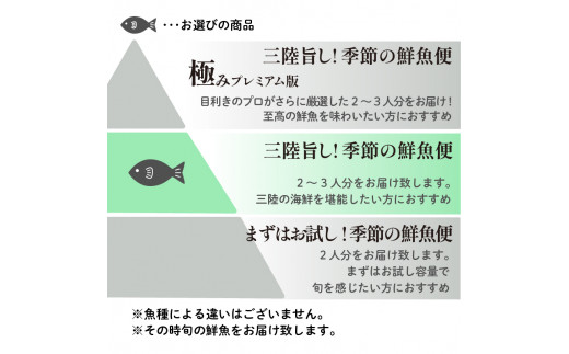 「下処理なし」三陸の旨い魚！季節の鮮魚便 2kg～3kg おまかせセット