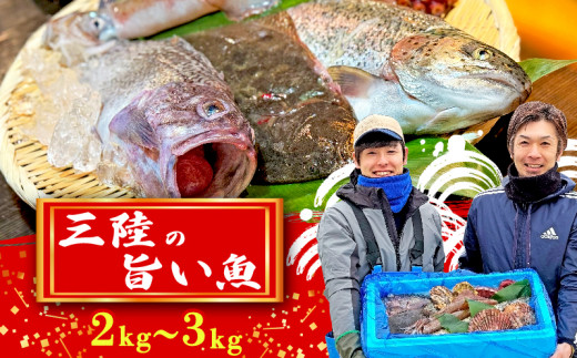 「下処理なし」三陸の旨い魚！季節の鮮魚便 2kg～3kg おまかせセット