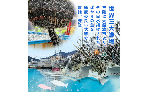 「下処理なし」三陸の旨い魚！季節の鮮魚便 2kg～3kg おまかせセット