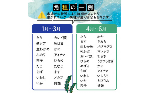 「下処理なし」三陸の旨い魚！季節の鮮魚便 2kg～3kg おまかせセット