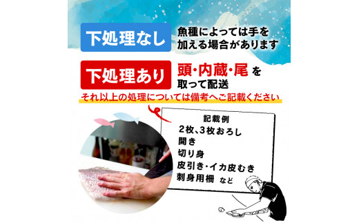 「下処理なし」三陸の旨い魚！季節の鮮魚便 2kg～3kg おまかせセット