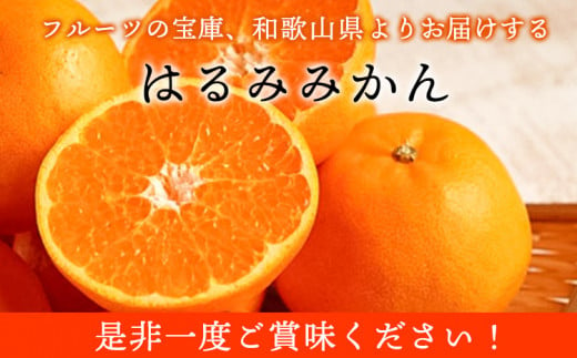 【厳選・濃厚】紀州有田産のはるみ約4kg(サイズおまかせ)《2025年1月下旬-3月上旬頃出荷予定》和歌山県 日高町 みかん はるみ 厳選 柑橘 フルーツ 送料無料