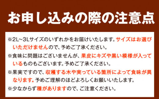 【厳選・濃厚】紀州有田産のはるみ約4kg(サイズおまかせ)《2025年1月下旬-3月上旬頃出荷予定》和歌山県 日高町 みかん はるみ 厳選 柑橘 フルーツ 送料無料