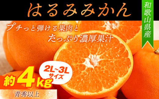 【厳選・濃厚】紀州有田産のはるみ約4kg(サイズおまかせ)《2025年1月下旬-3月上旬頃出荷予定》和歌山県 日高町 みかん はるみ 厳選 柑橘 フルーツ 送料無料