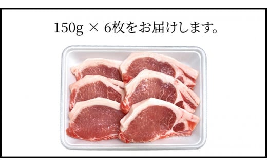 茨城県銘柄豚 「常陸の輝き」 ステーキ ・ とんかつ 用 大判 ロース 900g ( 150g × 6枚 ) (茨城県共通返礼品) 小分け ブランド豚 三元豚 豚肉 肉 冷凍 [FA006sa]