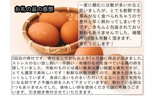 382＊信州MIYAFARM　「天空の卵」有機野菜を食べて育った放し飼い自然卵　6ヶ月定期便